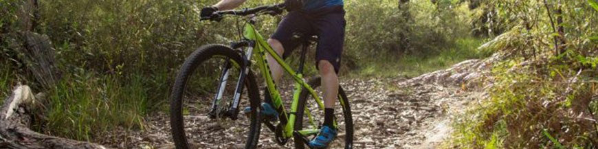 Handle bars